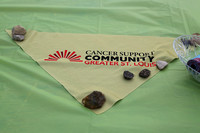 5-6-23 Steps for Hope-Cancer Support Community
